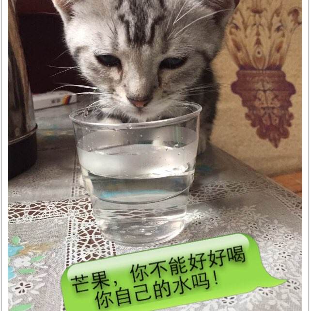 企业信用等级/证书需要什么资料